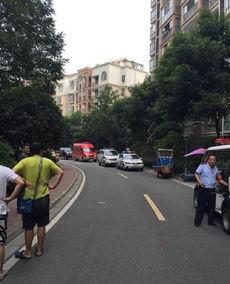 成都爆料小偷事件最新,警方全力追捕中！